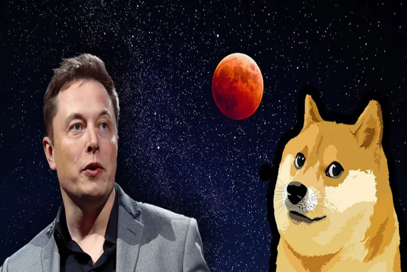 Elon Musk catapulte son DOGE à la Maison Blanche, le chaos règne!