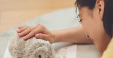 Les peluches intelligentes dopées à l'IA envahissent la vie de vos enfants