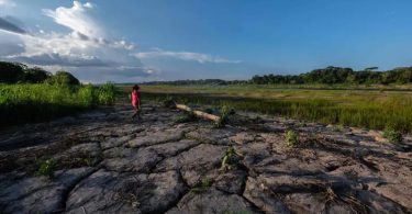 Un nouveau rapport révèle que l'un des écosystèmes les plus précieux de la Terre a déjà franchi un redoutable seuil climatique