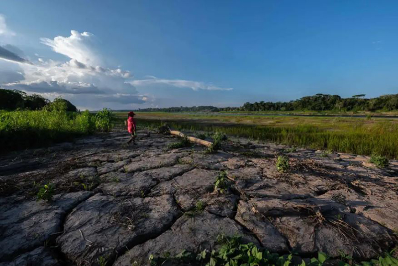 Un nouveau rapport révèle que l'un des écosystèmes les plus précieux de la Terre a déjà franchi un redoutable seuil climatique